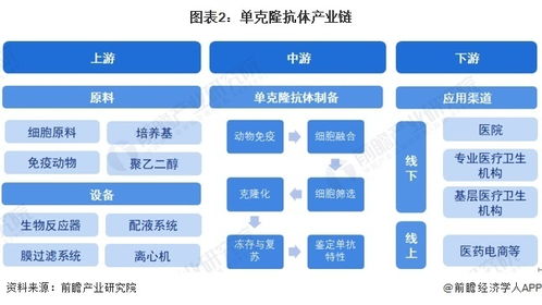 預見2024 中國單克隆抗體行業全景圖譜及計算機軟硬件開發的融合趨勢